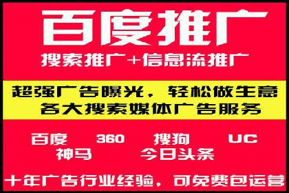 某某sem推广公司在某行业的应用与效果分析